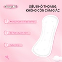 Combo tiết kiệm Băng vệ sinh UUcare Singapore Young Girl hàng ngày 15,5cm