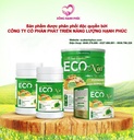 Sữa hạt Protein EcoNut hộp 900G