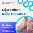 LIỆU TRÌNH ĐIỀU TRỊ GOUT 1