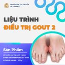 LIỆU TRÌNH ĐIỀU TRỊ GOUT 2