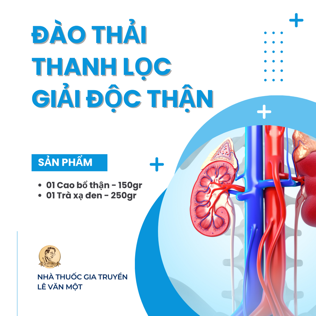 LIỆU TRÌNH ĐÀO THẢI, THANH LỌC, GIẢI ĐỘC THẬN