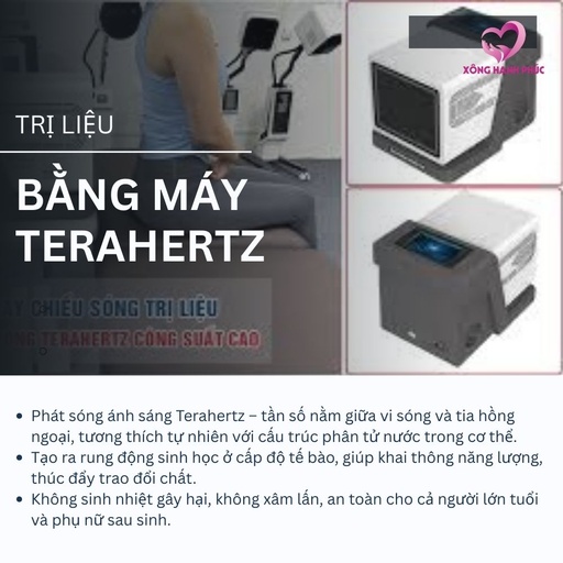 [TLBMT00323] TRỊ LIỆU BẰNG MÁY TERAHERTZ